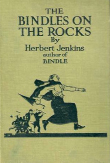 The Bindles on the Rocks PDF