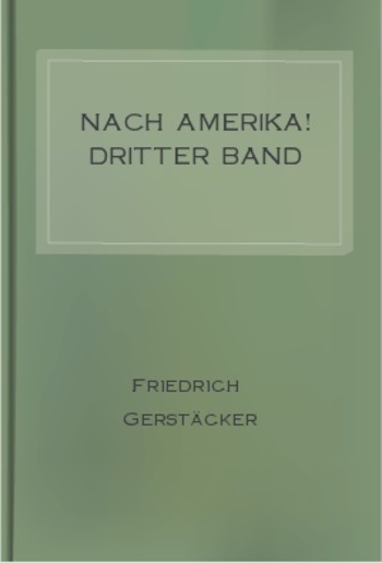 Nach Amerika! Dritter Band PDF