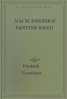 Nach Amerika! Fünfter Band PDF