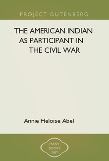 The American Indian as Participant in the Civil War PDF