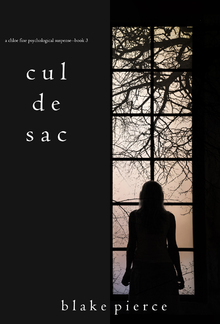 Cul de Sac (Chloe Fine Mystery #3) PDF