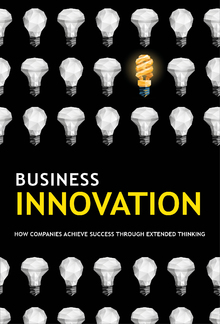Business Innovation PDF