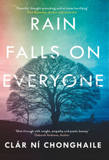 Rain Falls on Everyone: A search for meaning in a life engulfed by terror PDF