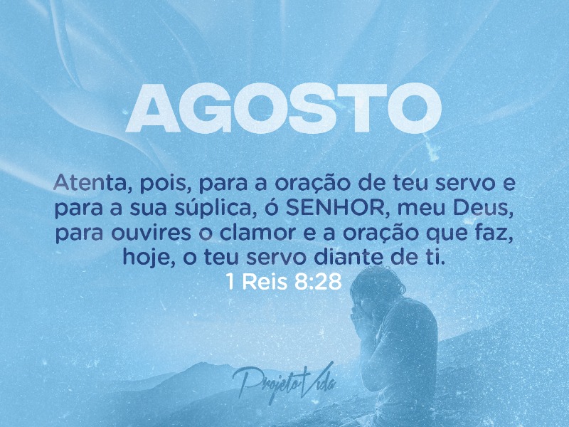 Gaivota em Ação: Bem vindo agosto!