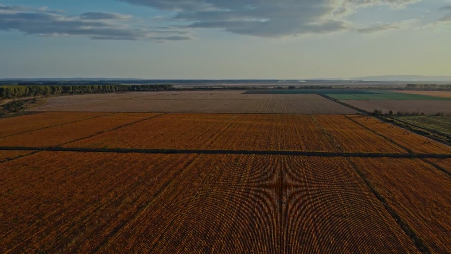 Comprar un campo en Argentina: qué mirar antes de invertir