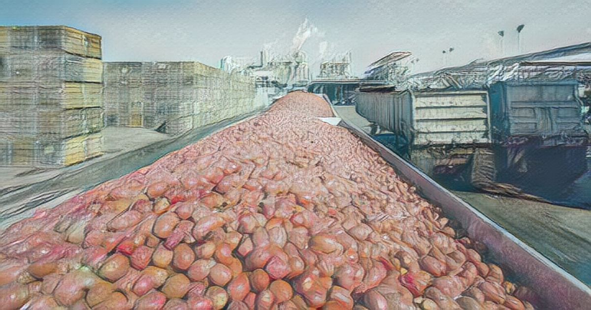 Food prices down 0.2 in March compared to Feb Financial News