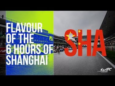 2018 World Endurance Championship in Chinese Flavour