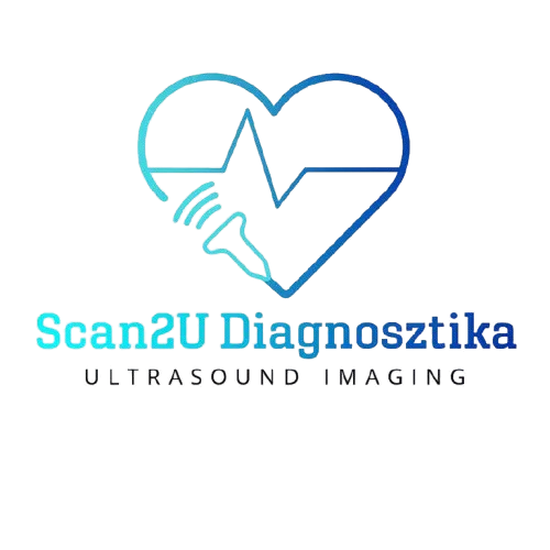 Scan2uDiagnosztika