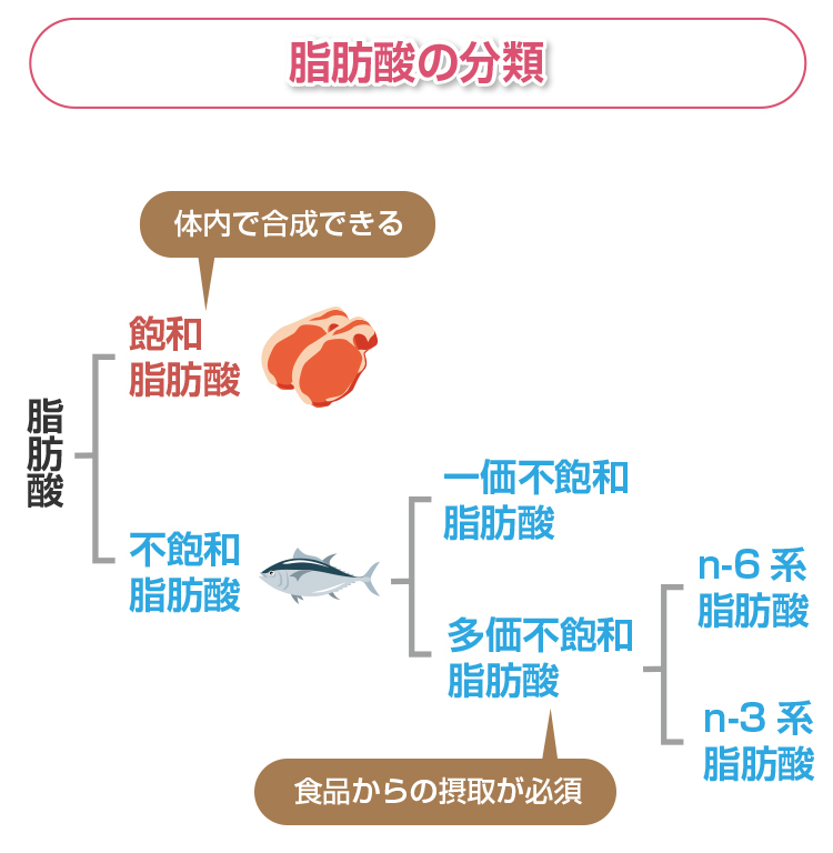 脂肪の分類
