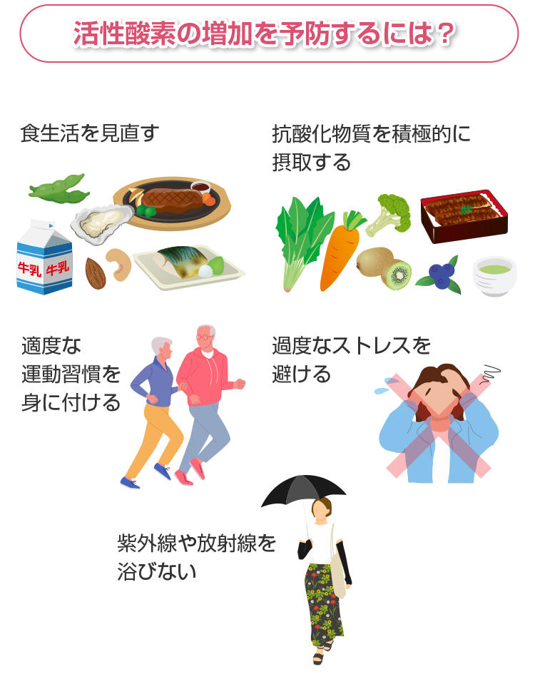 活性酸素の増加を予防するには？