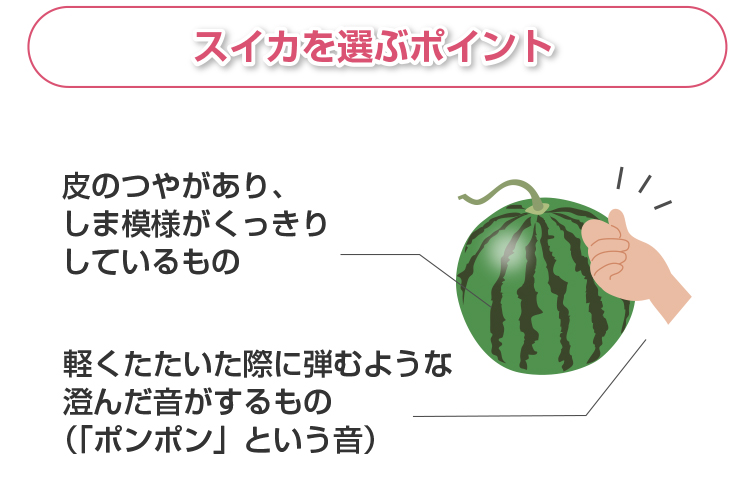 スイカを選ぶポイント