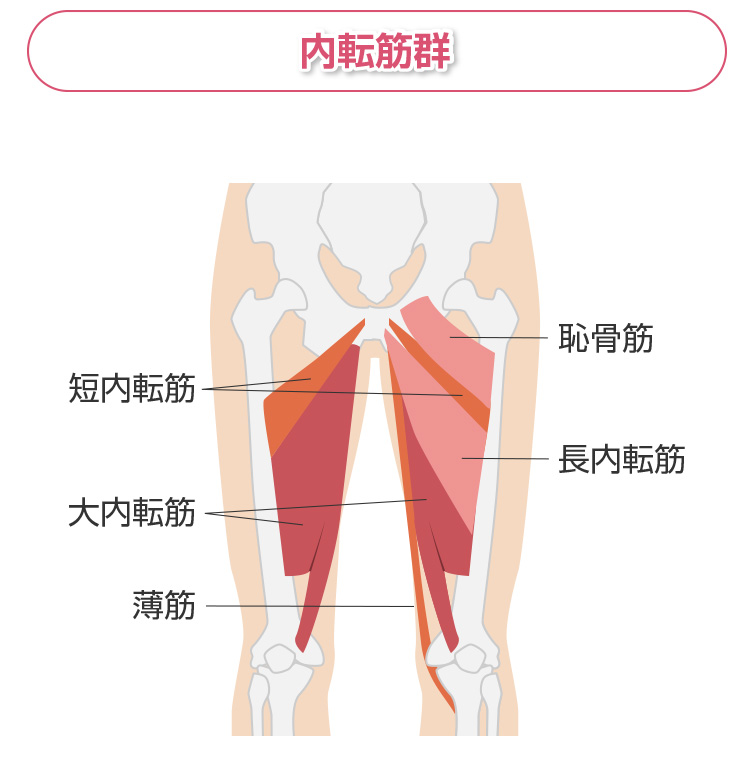 内ももを鍛える筋トレメニューは 効果的に行うポイントと注意点 Medipalette