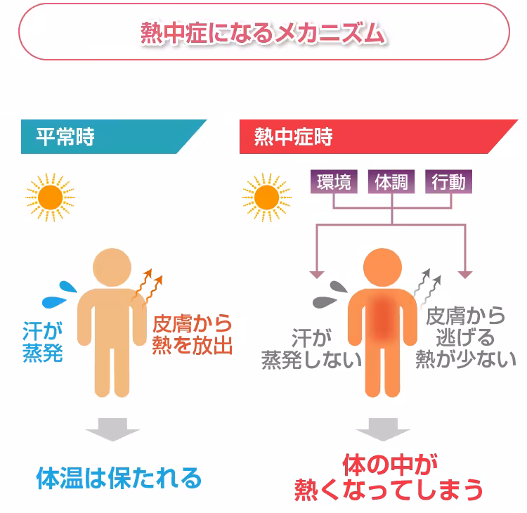 熱中症の新分類ってなに？ | 熱中症の症状と分類 – ZUCICY