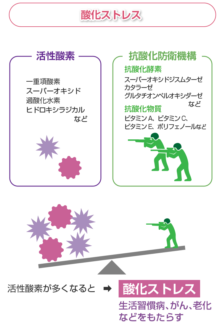 酸化ストレスの図