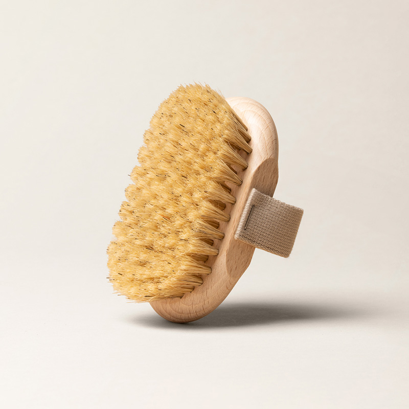 Photo de la brosse corps