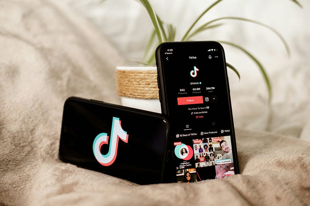 TikTok est excellent pour la promotion de blog car c'est une application où vous avez le potentiel de devenir viral