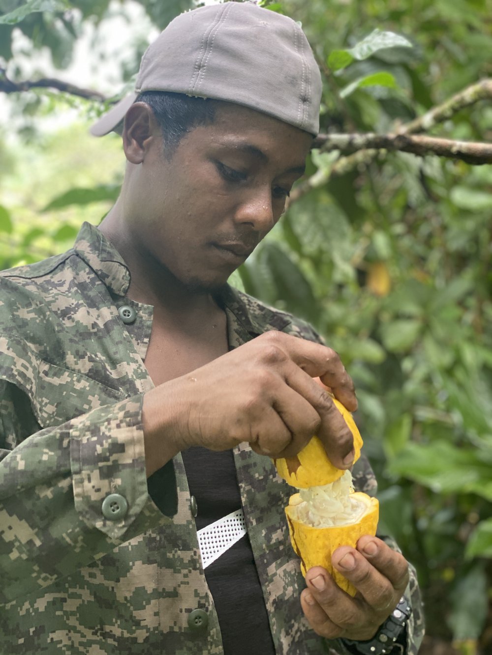 Jeff Anderson opens cacao pod.jpeg