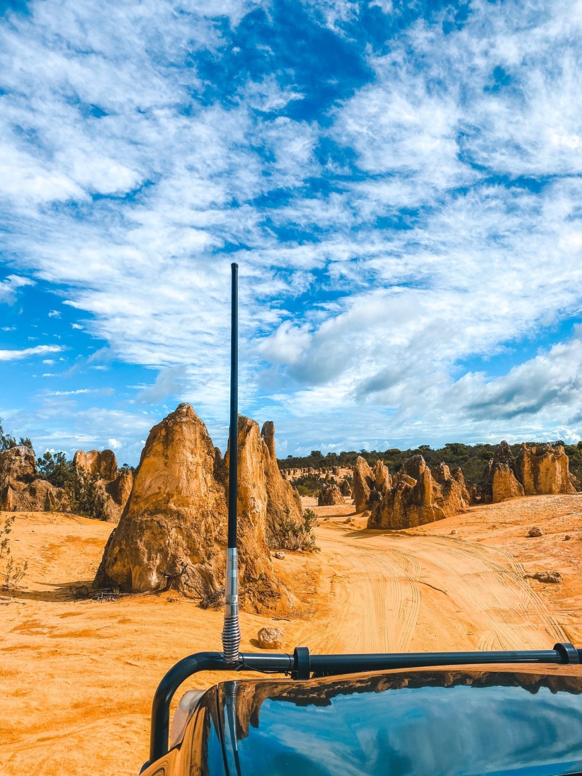 The Pinnacles Desert in Western Australia