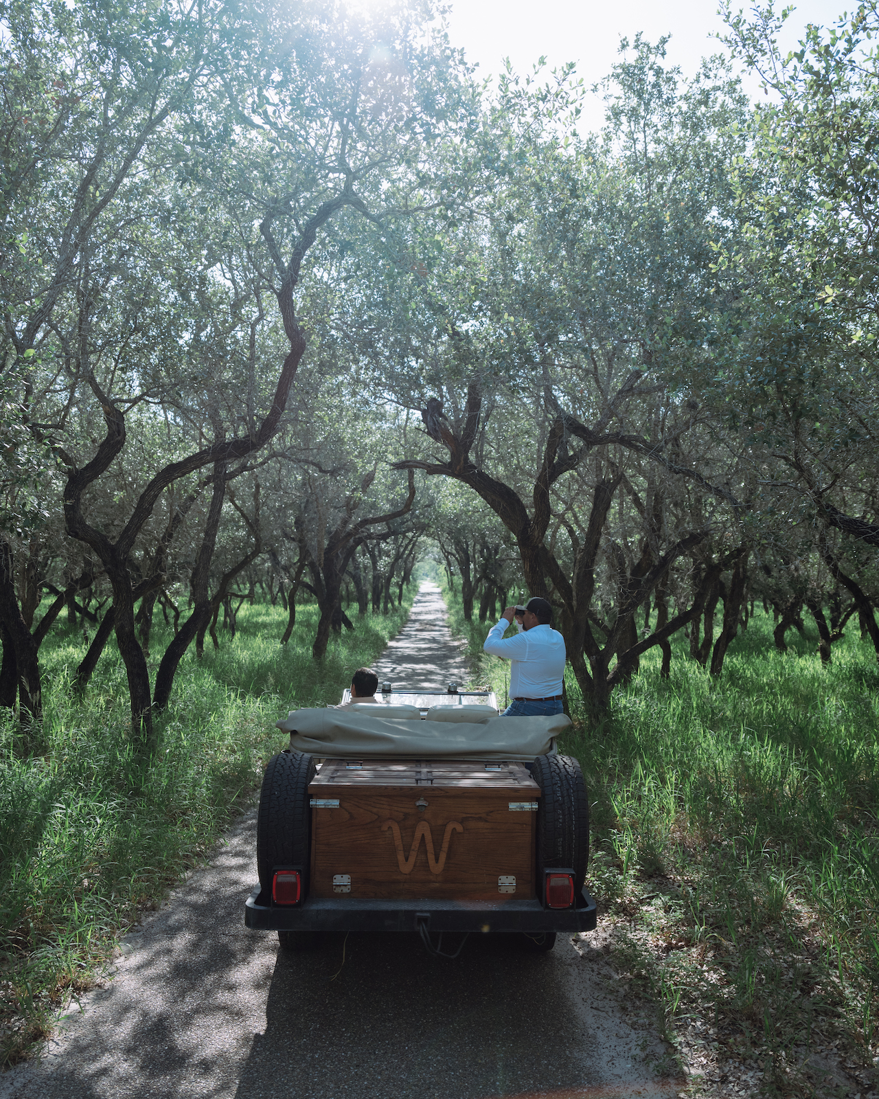 king ranch hunting trip