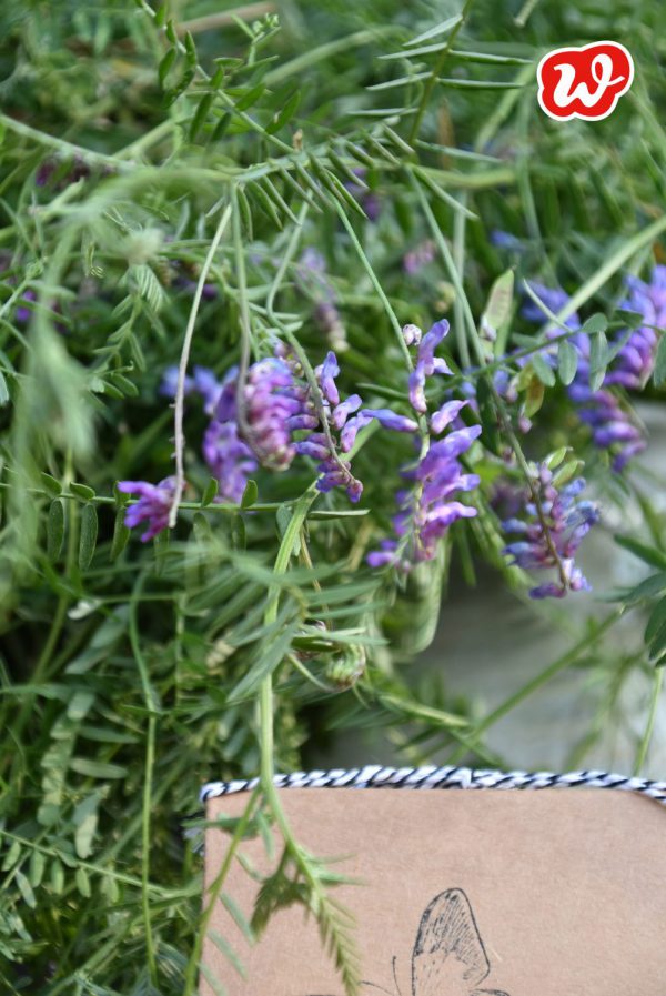 Sommer, Blumen, lila Lupinchen, Schmetterlinghotel, Insektenrettung, insektenfreundliche Gärten, gefertigt in Werkstätten für menschen mit Behinderung, Geschenk, Geschenkideen