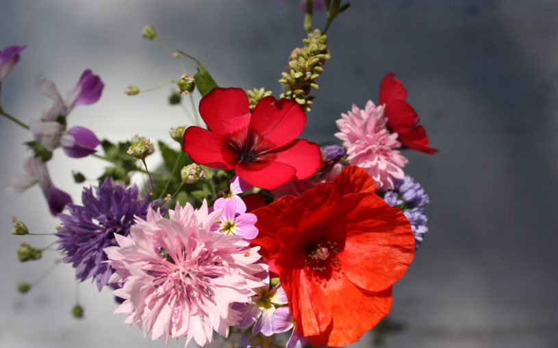 Draufsicht auf kleinen Bunten Blumenstrauß