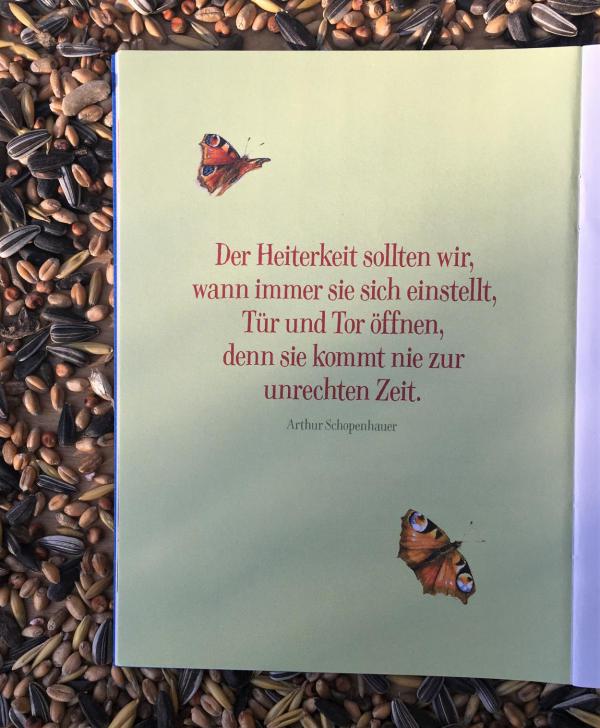 Zitat, Arthur Schopenhauer, Heiterkeit, schlauer Spruch, die kleinen Dinge