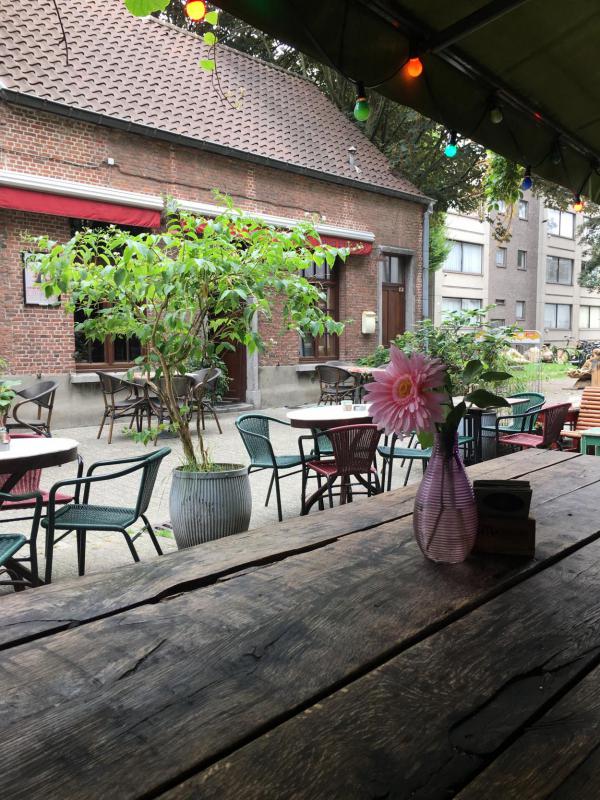 Antwerpen, Cafe, rosa Gerbera, draußen sitzen