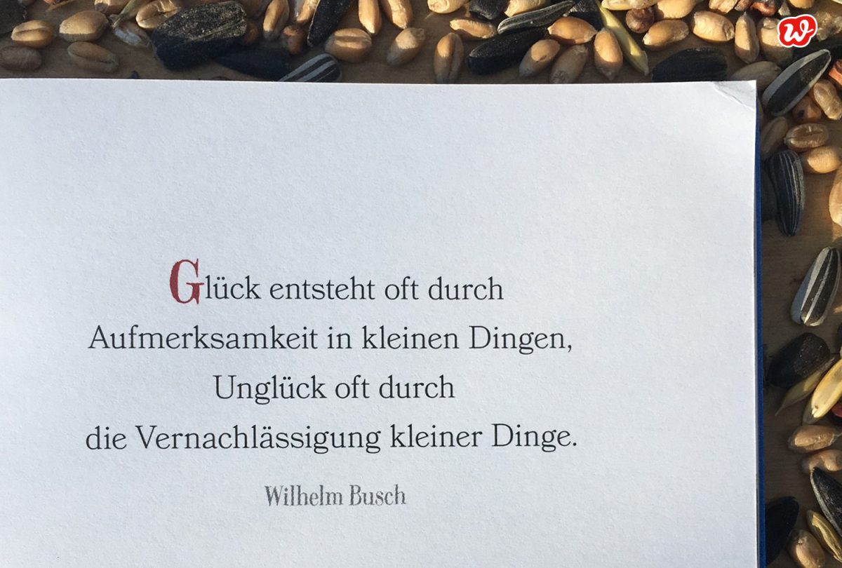 Zitat Wilhelm Busch, Statement, Quote, die kleinen Dinge