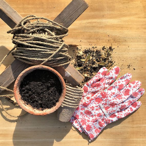 Wunderle, Gartensaison kann losgehen, Frühling, Sehnsucht, los geht´s