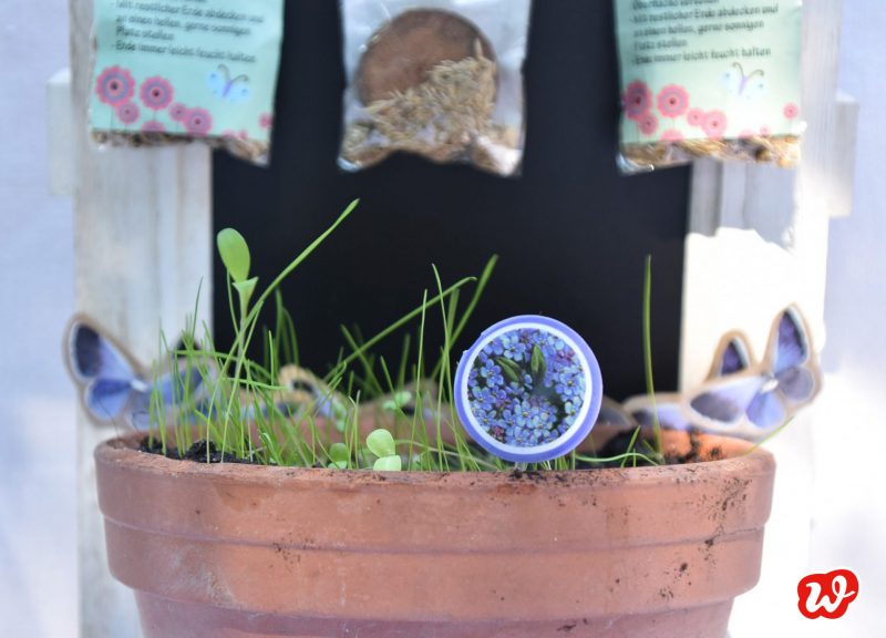 Wunderle Schmetterlingsgarten, Insektenrettung, save the butterflies, Lieblingsblumensamen, insektenfreundlicher Garten, gefertigt in Werkstätten für Menschen mit Behinderung, Kleinigkeit; Mitbringsel