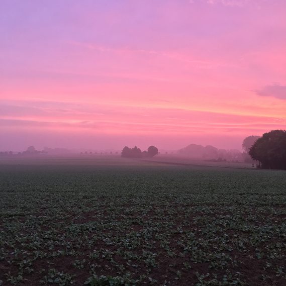 Tagesbeginn, rosaroter Sonnenaufgang ohne Filter