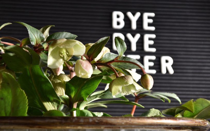 Letterboard, Bye bye Winter, Winterblumen, Winterstimmung, die kleinen Dinge