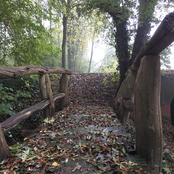 Holzbrücke im Wald , krumm und schön, mit Herbstlaub im Wald