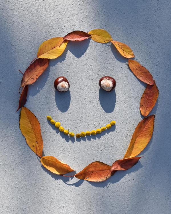 Herbst, DIY, Smiley aus Herbstaccessoires, Lächeln, goldener Oktober