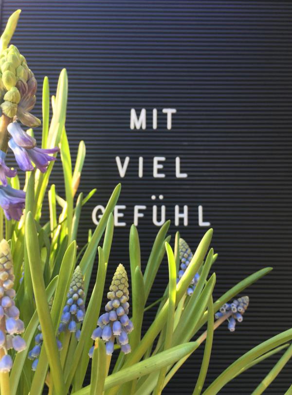 Letterboard, mit viel Gefühl, Frühling, Perlblumen, Hyazinthen