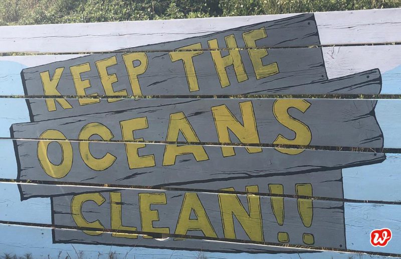 Umweltschutz, Schil, Keep the oceans clean, Sommer, Urlaub