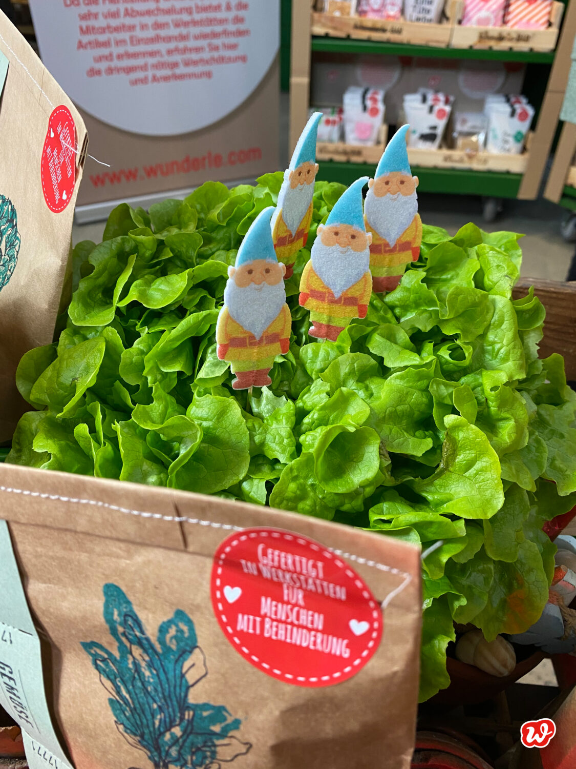 Salat mit Zwergensteckern und angeschnittenen Garten Wundertüten