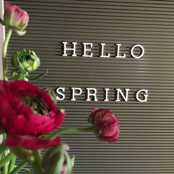 Letterboard, Hello Spring, Ranunkeln, Frühlingsboten, Jahreszeitenwechsel, Sehnsucht, bereit