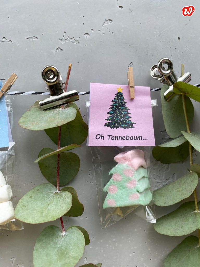 Süße Tüte Oh Tannenbaum zwischen Eukalyptus