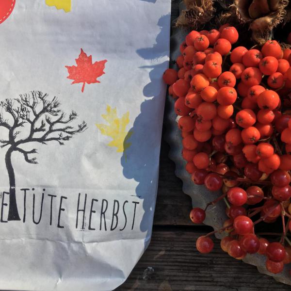 Eine Tüte Herbst, Beeren, Herbst, Vorfreude, 3.Jahreszeit