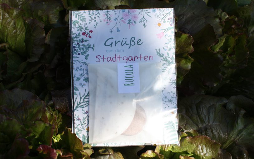 Postkarte Grüße aus dem Stadtgartenim Sonnenlicht im Salatbeet