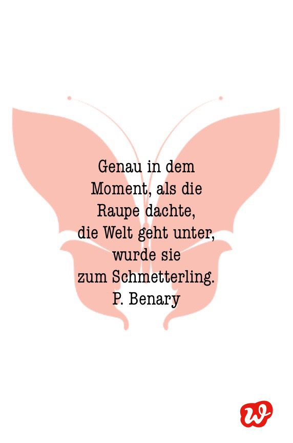 Schmetterling, Schmetterlingsquote, Lettering, Spruch