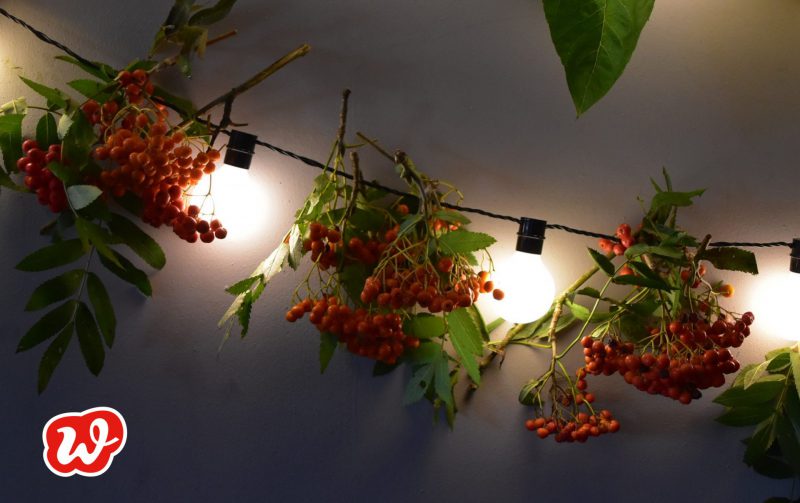 DIY, Girlande, Lichterkette, Vogelbeeren, Spätsommer