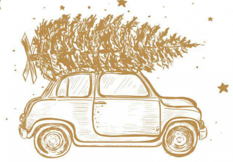 Illustration, Wagen mit Tannenbaum, Weihnachten, Advent, Weihnachten entgegen rollen
