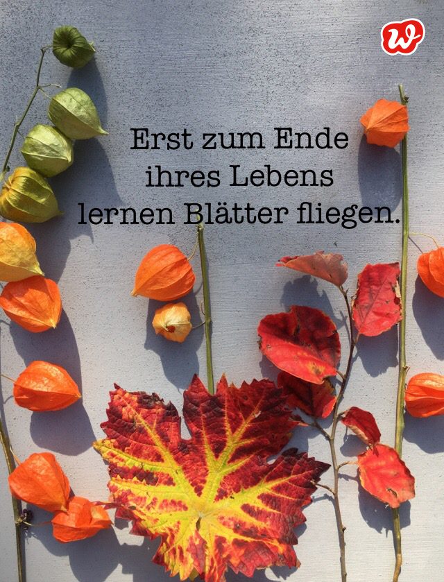 Herbstboten, Herbstblätter, Herbstquote, Lettering, Statement