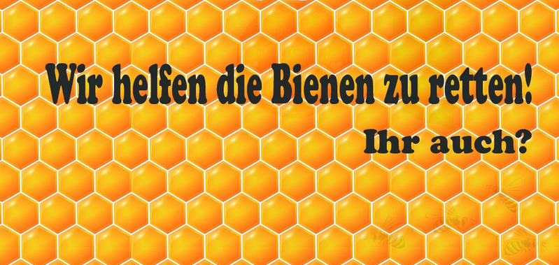 Waben, Bienen, Bienenrettung,Wir helfen Bienen retten, Inspiration, Naturschutz