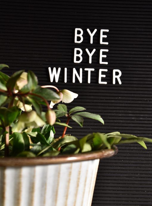 Letterboard Bye bye Winter, Winterblumen, Lettering, die kleinen Dinge