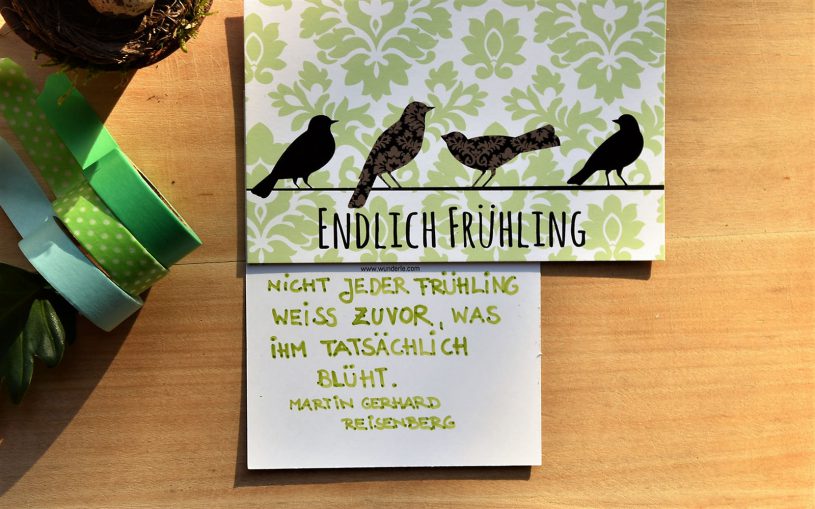 Wunderle, Wunderle Postkarte, Endlich Frühling, Sehnsucht, Vorfreude, Vogelgezwitscher