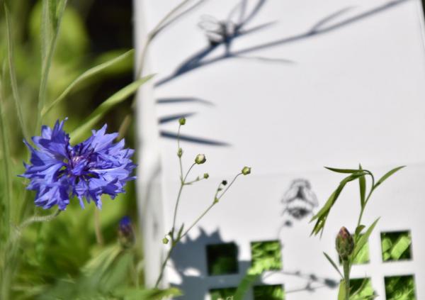 Wunderle Bienenhäuschen, für fleißige Bienchen, Kornblume, Bienenlieblingsblumen, Bienenstempel, Sommerglück