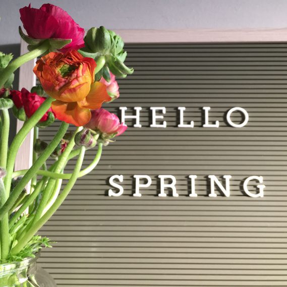 Letterboard, Hello Spring, Frühjahrsboten, Ranunkeln, Jahreszeitenwechsel, Dazwischending, Sehnsucht, Warten auf den Frühling